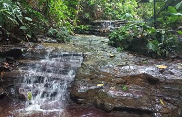 NATURAL RETREAT WITH THREE BEDROOMS IN TINAMASTES WITH A YEAR-ROUND STREAM AND DEVELOPMENT POTENTIAL – 3.5 ACRES