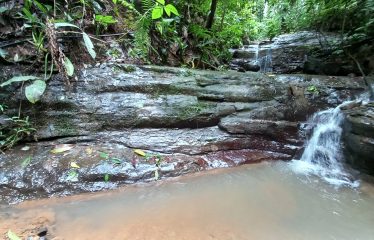 NATURAL RETREAT WITH THREE BEDROOMS IN TINAMASTES WITH A YEAR-ROUND STREAM AND DEVELOPMENT POTENTIAL – 3.5 ACRES