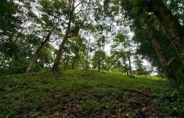 NATURAL RETREAT WITH THREE BEDROOMS IN TINAMASTES WITH A YEAR-ROUND STREAM AND DEVELOPMENT POTENTIAL – 3.5 ACRES
