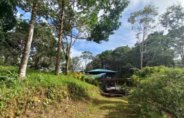 NATURAL RETREAT WITH THREE BEDROOMS IN TINAMASTES WITH A YEAR-ROUND STREAM AND DEVELOPMENT POTENTIAL – 3.5 ACRES