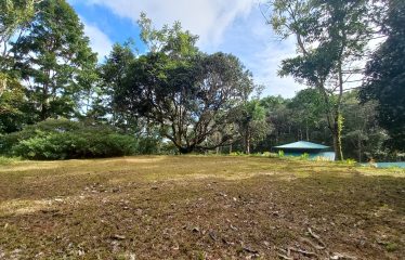 NATURAL RETREAT WITH THREE BEDROOMS IN TINAMASTES WITH A YEAR-ROUND STREAM AND DEVELOPMENT POTENTIAL – 3.5 ACRES
