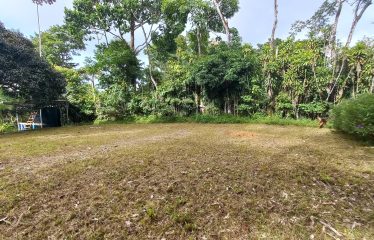 NATURAL RETREAT WITH THREE BEDROOMS IN TINAMASTES WITH A YEAR-ROUND STREAM AND DEVELOPMENT POTENTIAL – 3.5 ACRES