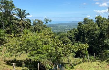 EXCLUSIVE LAND WITH OCEAN VIEWS AND SPECTACULAR SUNSETS, IN MATAPALO – 1.51 ACRES