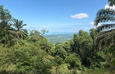 EXCLUSIVE LAND WITH OCEAN VIEWS AND SPECTACULAR SUNSETS, IN MATAPALO – 1.51 ACRES