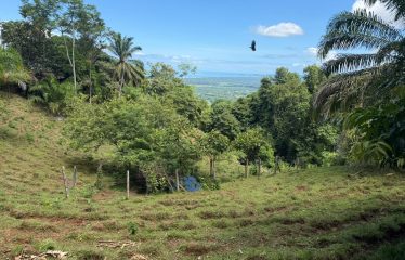 EXCLUSIVE LAND WITH OCEAN VIEWS AND SPECTACULAR SUNSETS, IN MATAPALO – 1.51 ACRES