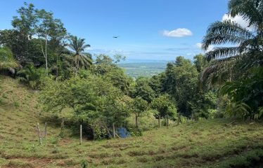 EXCLUSIVE LAND WITH OCEAN VIEWS AND SPECTACULAR SUNSETS, IN MATAPALO – 1.51 ACRES