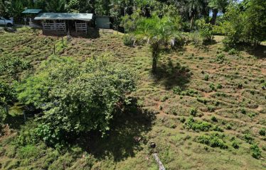 EXCLUSIVE LAND WITH OCEAN VIEWS AND SPECTACULAR SUNSETS, IN MATAPALO – 1.51 ACRES