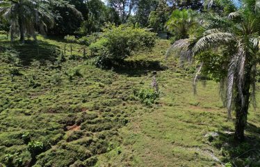 EXCLUSIVE LAND WITH OCEAN VIEWS AND SPECTACULAR SUNSETS, IN MATAPALO – 1.51 ACRES
