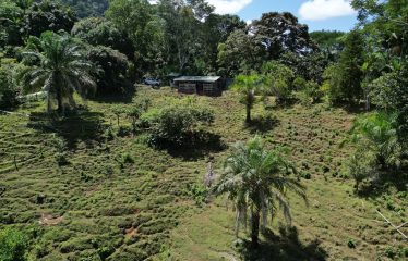 EXCLUSIVE LAND WITH OCEAN VIEWS AND SPECTACULAR SUNSETS, IN MATAPALO – 1.51 ACRES