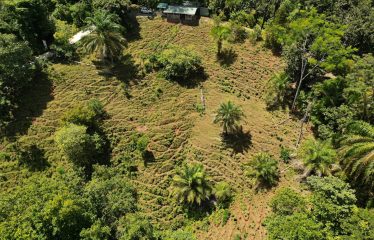 EXCLUSIVE LAND WITH OCEAN VIEWS AND SPECTACULAR SUNSETS, IN MATAPALO – 1.51 ACRES