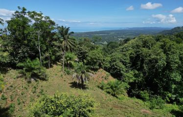 EXCLUSIVE LAND WITH OCEAN VIEWS AND SPECTACULAR SUNSETS, IN MATAPALO – 1.51 ACRES