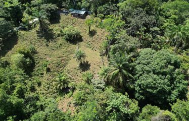 EXCLUSIVE LAND WITH OCEAN VIEWS AND SPECTACULAR SUNSETS, IN MATAPALO – 1.51 ACRES