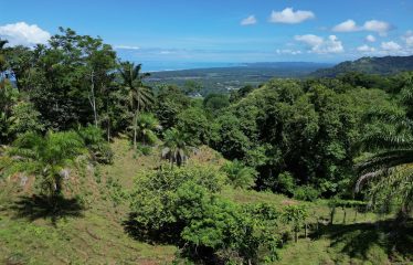 EXCLUSIVE LAND WITH OCEAN VIEWS AND SPECTACULAR SUNSETS, IN MATAPALO – 1.51 ACRES